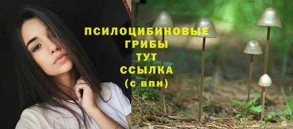 apvp Верея