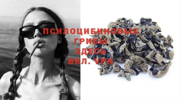 дживик Бугульма