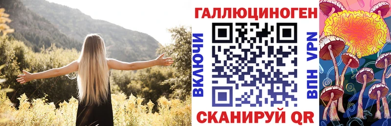 магазин продажи наркотиков  Гулькевичи  Галлюциногенные грибы GOLDEN TEACHER 